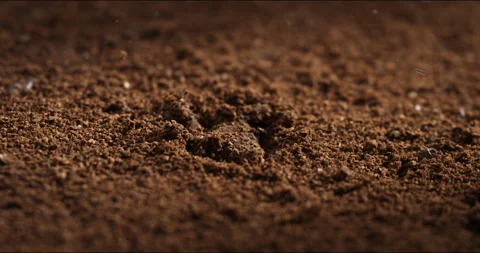 Macro of rain water drops falling on fresh agricultural fertilized field ground Stock Footage 268809949
