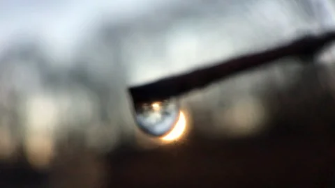 Macro RainDrop with Sunset Stock Footage 100607525