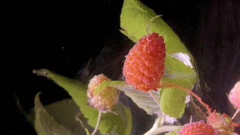 Macro raspberries with water droplets and swirling mist over dark background Stock Footage 339857786
