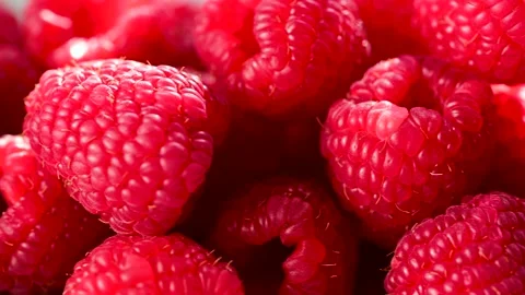 Macro raspberry, fresh red berry closeup. Stock Footage 232545383