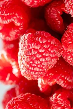 Macro raspberry, fresh red berry closeup. Stock-Fotos