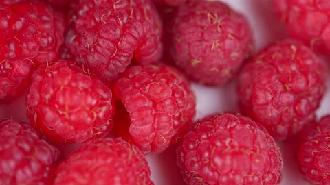 Macro red raspberries fruit. Fresh raspberry fruits as food background Stock Footage 157520902
