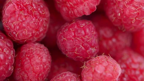 Macro red raspberries fruit. Fresh raspberry fruits as food background. Close up Stock Footage 157526224