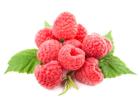 Macro of red raspberry Stock Photos