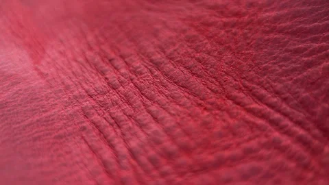 Macro Red Rotation Brown Leather Texture Stock Footage 263074128