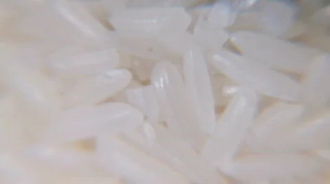 Macro rice grains Stock Footage 859434