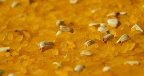 Macro of rice Stock Photos