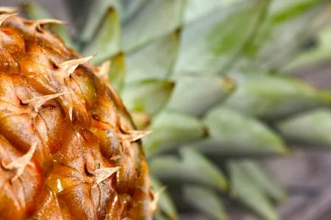 Macro of ripe pineapple. Foto stock