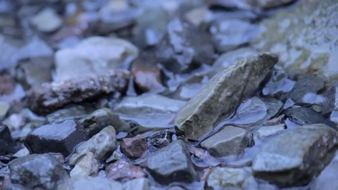 Macro River Rock with Water Stock Footage 100941763