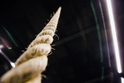 Macro rope hanging from the ceiling in the gym. Motivation, improvement concept Stock Photos