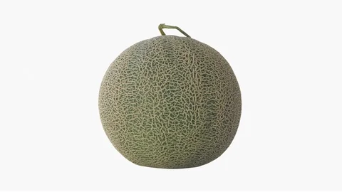 Macro rotate video of Ripe fruit of melon on a white background Stock Footage 118701604
