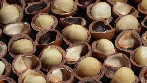 Macro Rotating Pattern of Cracked Macadamia Nuts and Kernels. Stockbeeldmateriaal 332834228