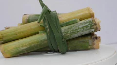 Macro rotating shot of raw sugarcane sticks tied together Stock Footage 148219668