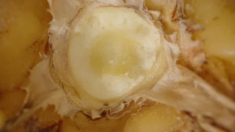 Macro Rotating View of Pineapple Core Showing Fibrous Yellow Center and Textured Stock Footage 310669660