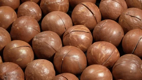 Macro Rotating Whole Macadamia Nuts Shell. Stock Footage 332833165
