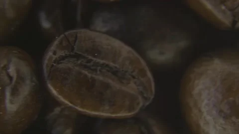 Macro Rotation of Coffee Bean Texture Background. Stock Footage 334576003