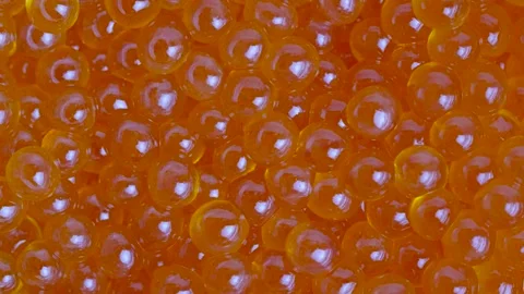 Macro Rotation of Fresh Red Salmon Roe Texture Vídeo Stock 334078640