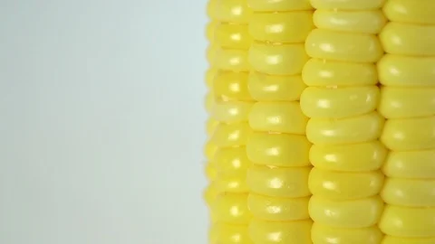 Macro rotation video shooting of Corn .Texture flesh of Corn. Stock Footage 109134488