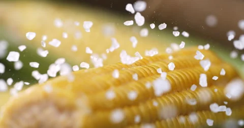 Macro of rough salt falls on boiled bio organic fresh ripe yellow corn maize cob Stock Footage 268408508