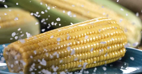 Macro of rough salt falls on boiled bio organic fresh ripe yellow corn maize cob Stock Footage 268408923
