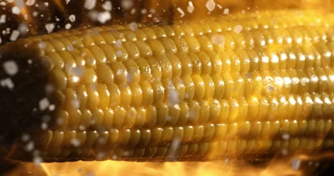 Macro of rough salt is sprinkled on bio organic fresh organic yellow corn maize Stock Footage 268408540