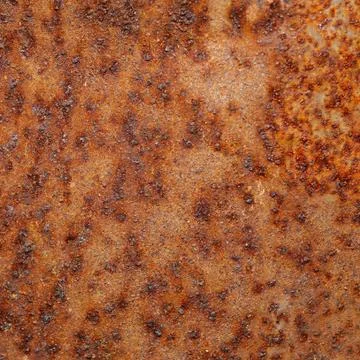 Macro rust Fotos Stock