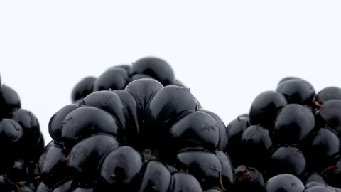 Macro of several blackberries rotating on the on the turntable. isolated Stock Footage 92861612