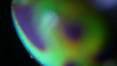 Macro sharp and detailed fly compound eye surface under microscope. 100x  Stock Footage 156523105