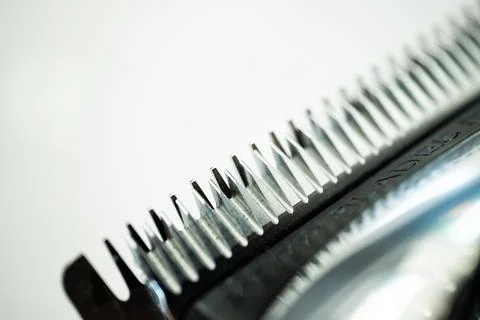 The macro shaver in the barber. Stock Photos