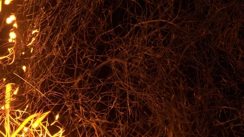 Macro Sheel Wool Burning 動画素材 85579630