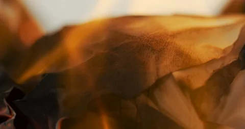 Macro of the sheet of paper on fire in front of the camera. Burning page. Close Stock Footage 86462316