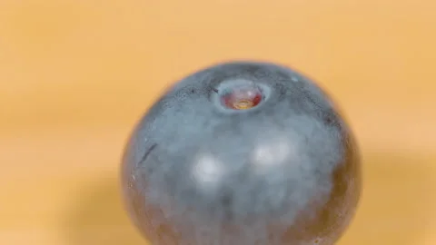 MACRO: Shiny plump forest blueberry lies on the empty wooden dining table. Stock Footage 163842969