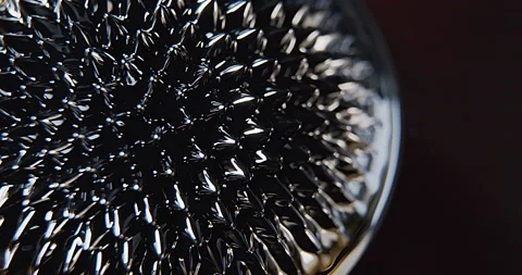 Macro shoot of a black ferro magnetic fluid in movement with lights Stock Footage 152417433
