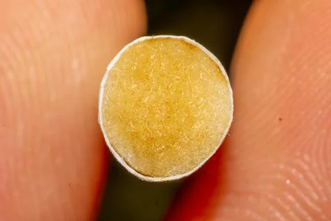 Macro shoot cigarette filter Stock Photos
