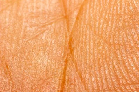 Macro shoot - man's palm Stock Photos