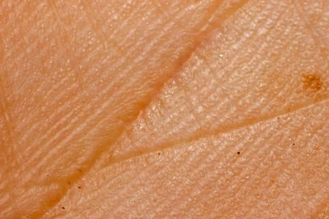 Macro shoot - man's palm Stock Photos
