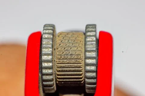 Macro shoot - mantis lighter Stock Photos