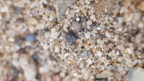 Macro shoot of sand Video stock 128942736