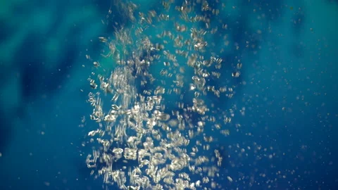 Macro shoot of Underwater bubbles footage. Stock Footage 156797472