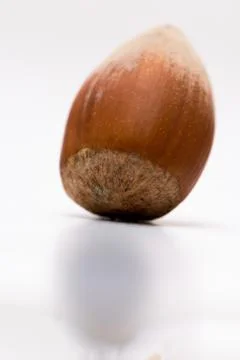 Macro shoot of unpealed hazelnut Stock Photos