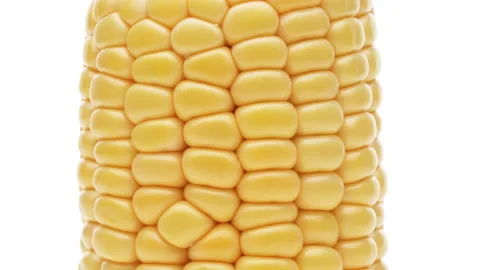Macro shooting of corn kernels from a vertically rotating corncob. White Stock Footage 159161198