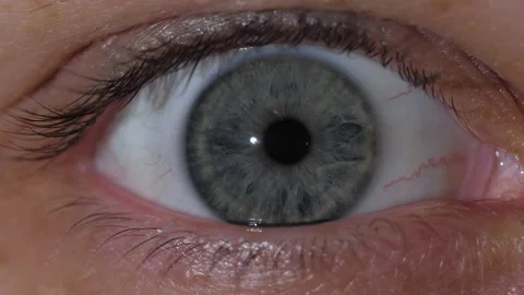 Macro shooting of a gray human eye opens wide 스톡 동영상 171590670