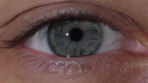 Macro shooting of a gray human eye opens and closes 스톡 동영상 171590817