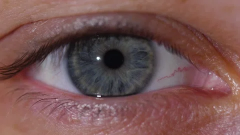 Macro shooting of a gray human eye opens and closes in slow-motion 库存影片 171592218