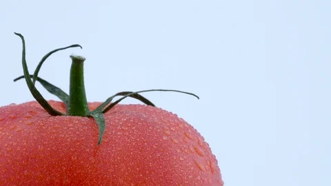 Macro shooting of the left bottom part of a big red tomato with water drops. Stock Footage 93611301