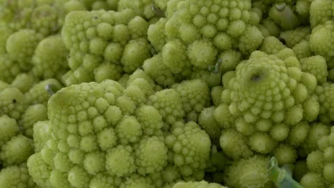 Macro shooting of mini romanesco broccoli flower bud. Slowly rotating Vídeo Stock 93846319