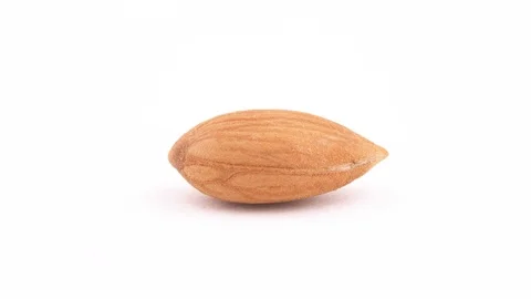 Macro shooting of one apricot kernels. Slowly rotating on the turntable isolated Stock Footage 96036245