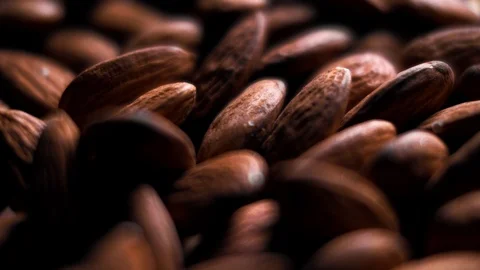 Macro shooting of peeled almonds. Stock Footage 102710820