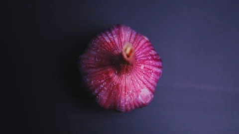Macro shooting of red garlic. Stock Footage 112595664
