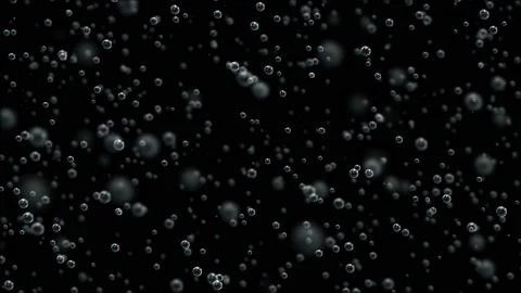 Macro shooting of slowly floating champagne bubbles on a black background. Slow Video stock 108685667